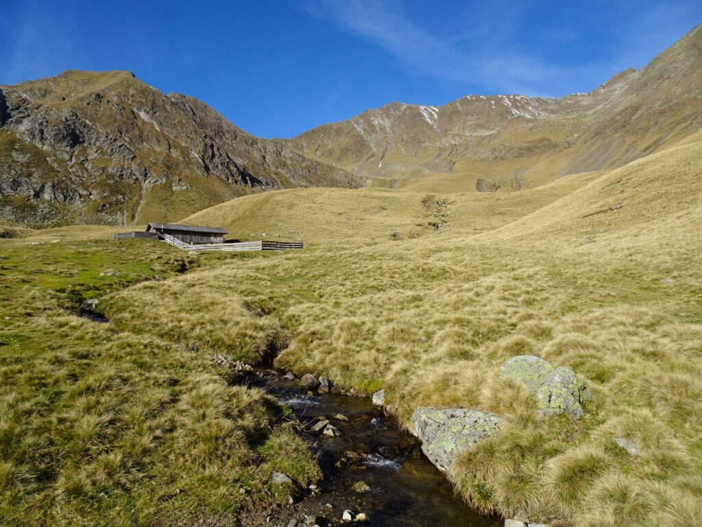 Malga Anteran Punta Cervina