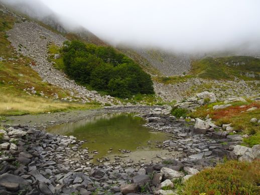 Lago Torbido