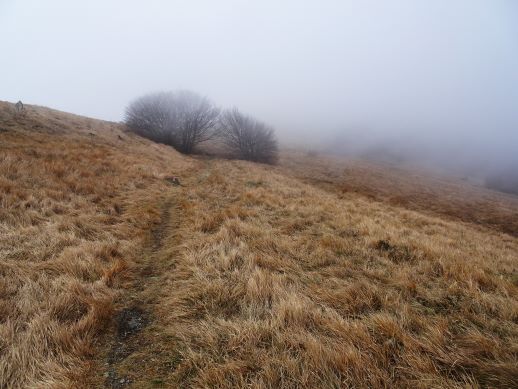 Alta Via Monti Liguri Tappa Turchino Faiallo