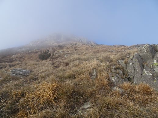 Alta Via Monti Liguri Bric del Dente