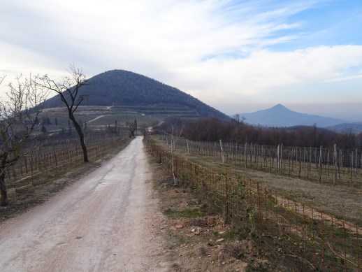 Monte Rusta Colli Euganei sentieri