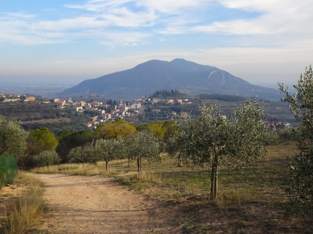 Arquà Petrarca sentieri