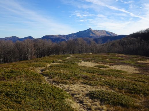 Monte Cavalbianco traccia