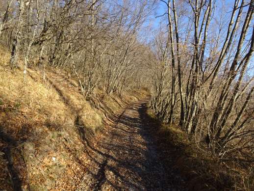 sentiero 811C Monte Barigazzo