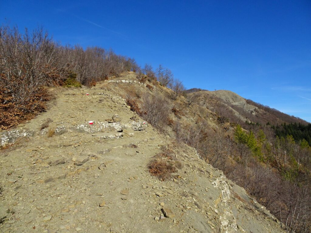 Monte Barigazzo costone sud