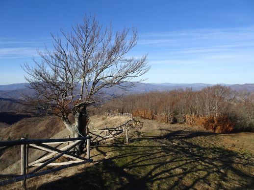 Monte Barigazzo sentiero 811C