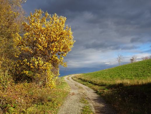 Colori in Appennino