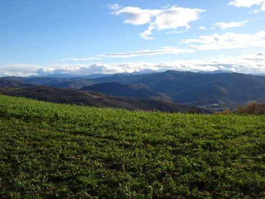 Monte Cimone