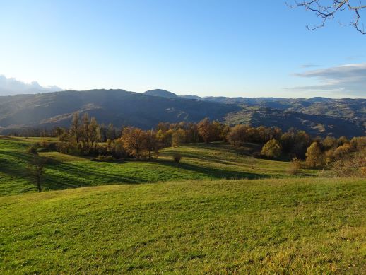 Appennino Reggiano