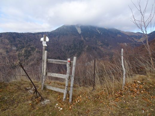 sentiero 285 Campofontana Cima di Lobbia