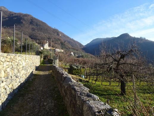 Sentiero del Viandante Perledo