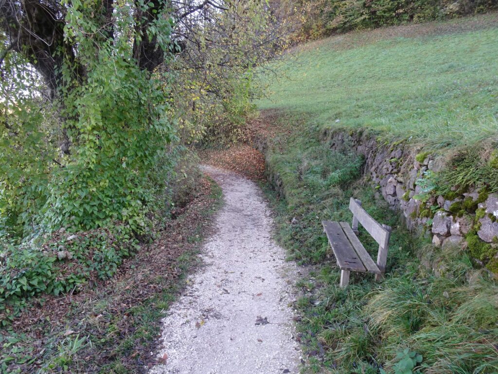 sentiero 15 Fi&egrave; allo Sciliar