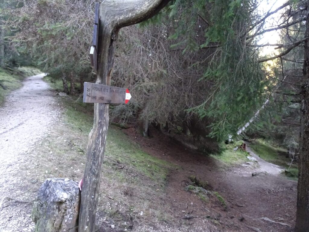 Bivio sentieri 1 1A