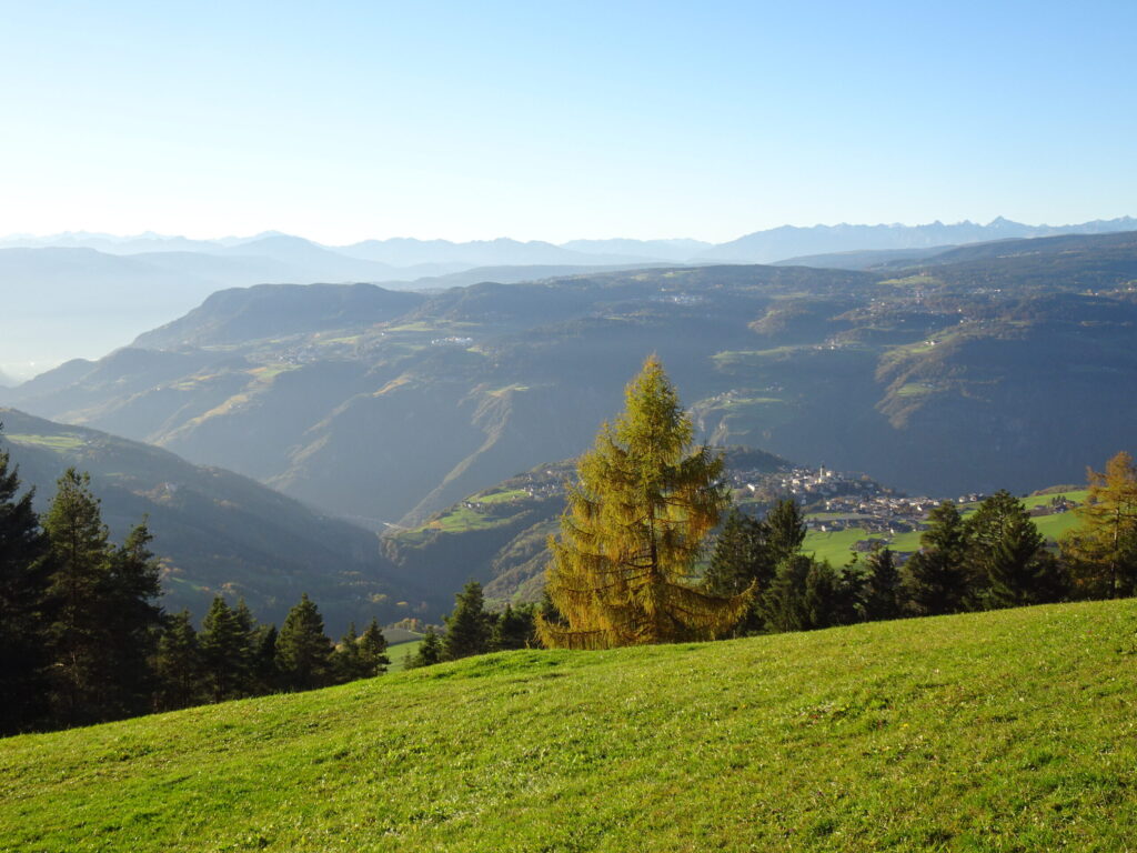 Malga Hofer vista