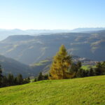 Malga Hofer vista
