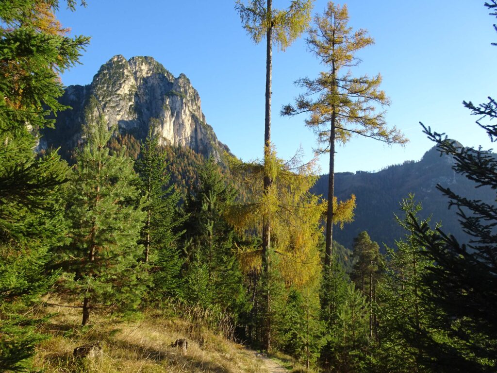 Scendendo da Malga Hofer