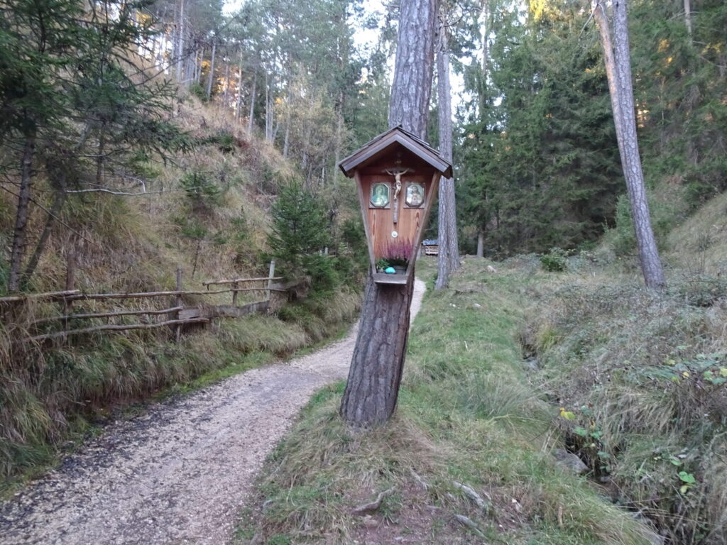 sentiero 2 Fiè allo Sciliar