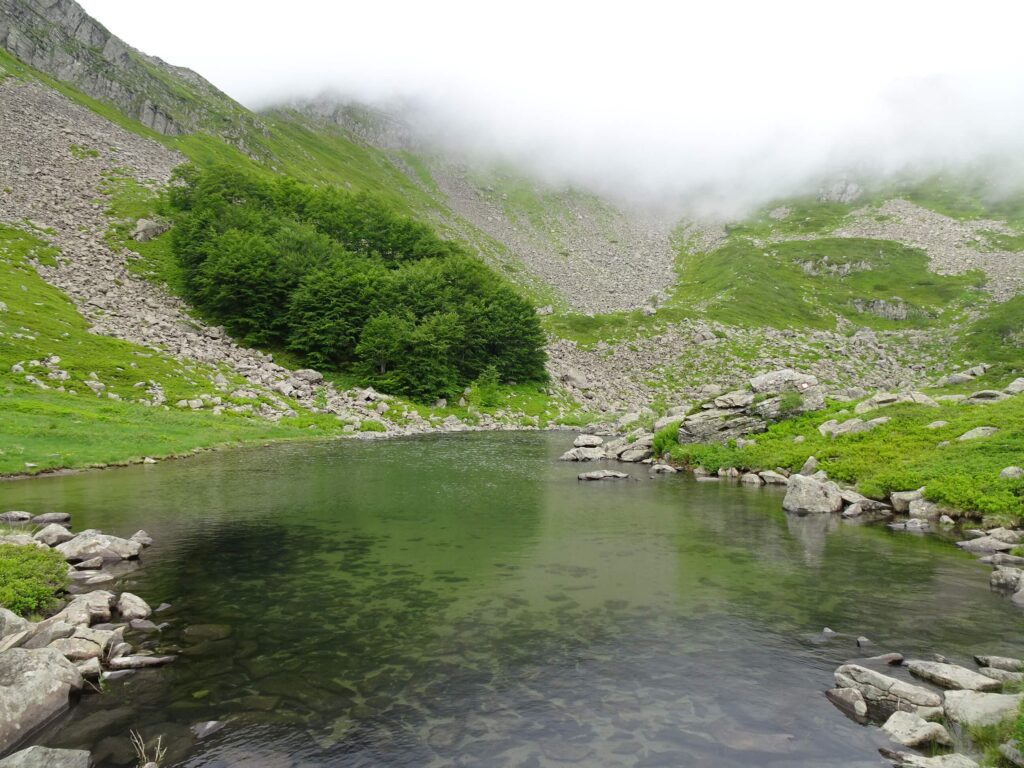 Lago Torbido