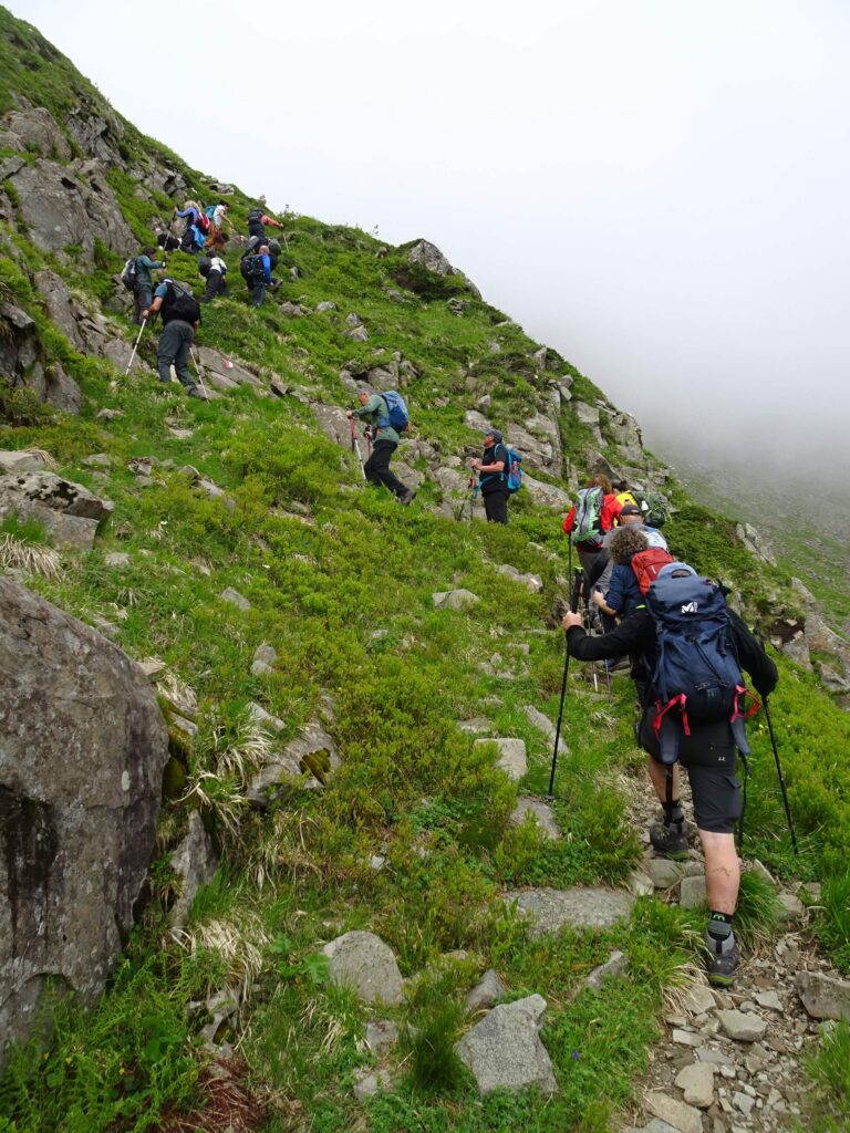 sentiero 00 Monte Rondinaio