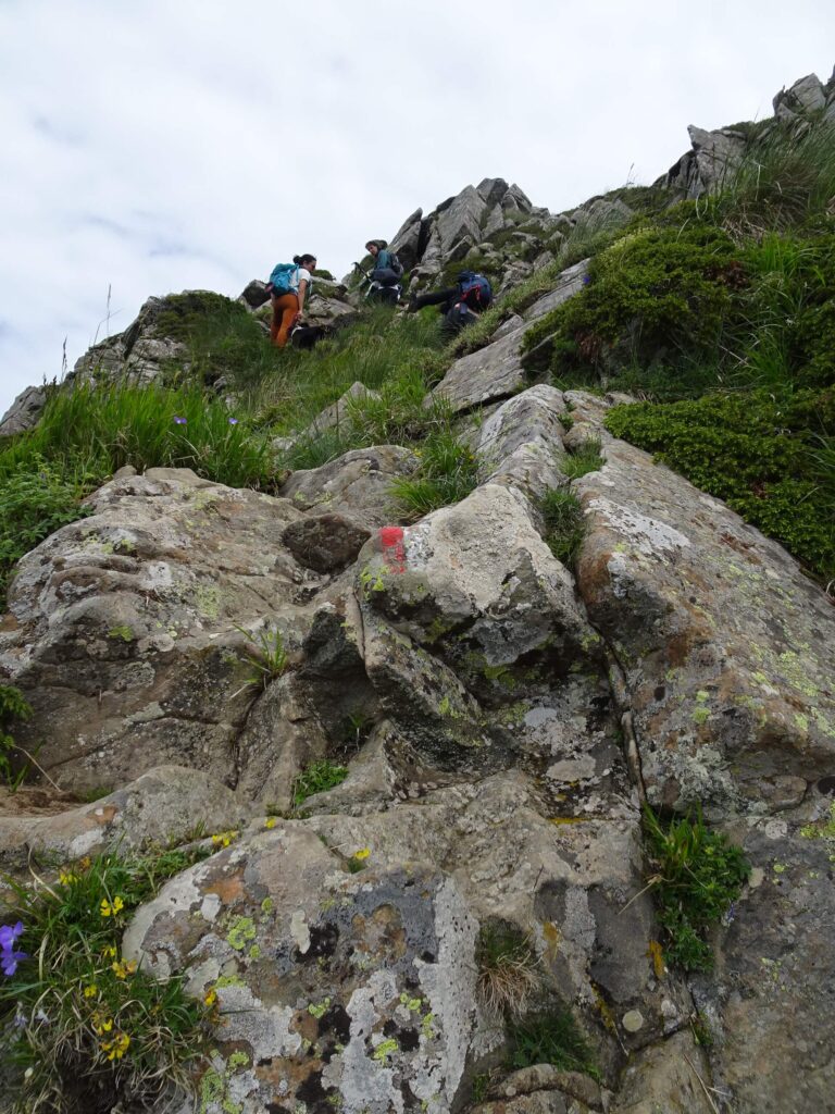 Monte Rondinaio sentiero 00