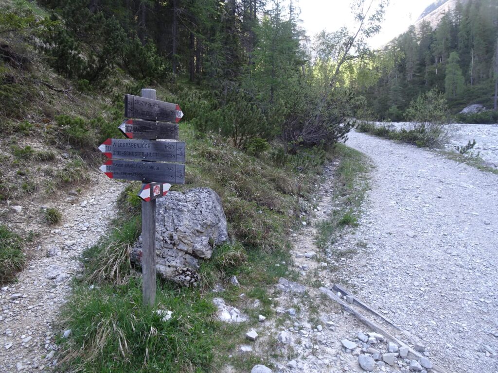 bivio sentieri 102 e 10 Landro
