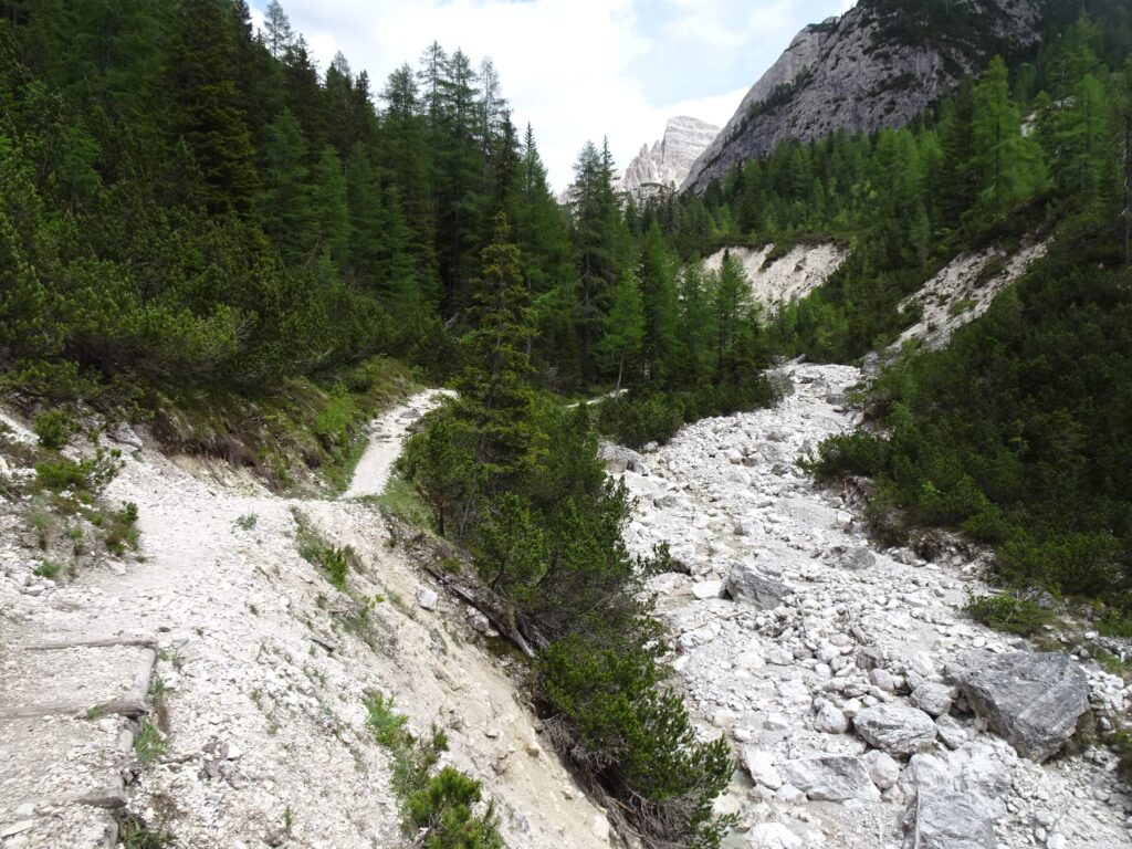 sentiero 102 Landro Rifugio Locatelli